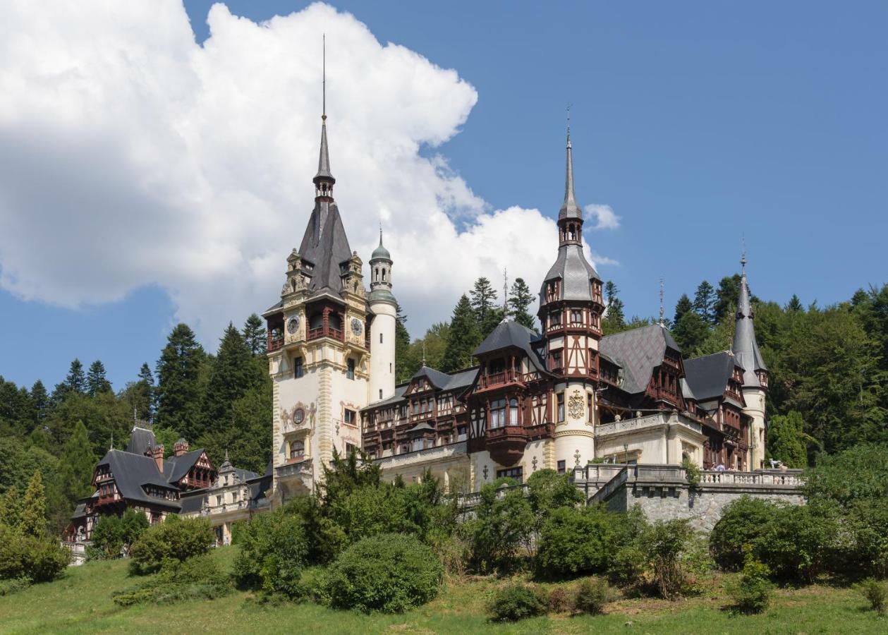 Apartament Mont Blanc Sinaia Extérieur photo