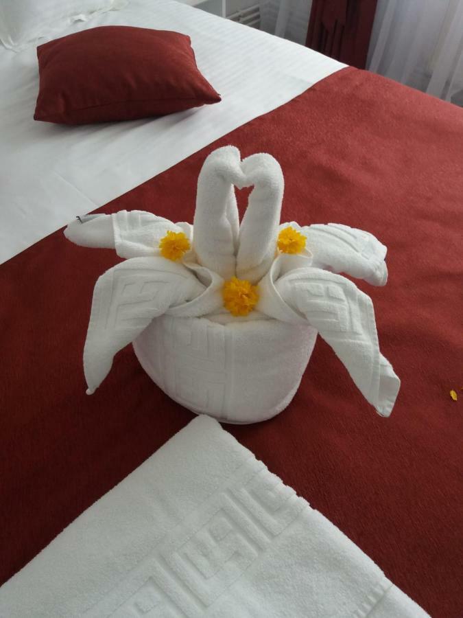 Apartament Mont Blanc Sinaia Extérieur photo